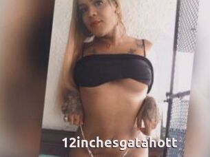 12inchesgatahott