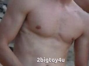 2bigtoy4u