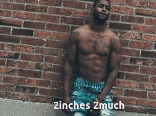 2inches_2much