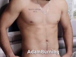 AdamBurning