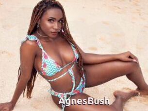 AgnesBush