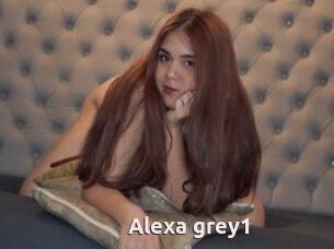 Alexa_grey1