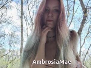 AmbrosiaMae