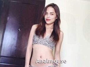 Anal_mouse
