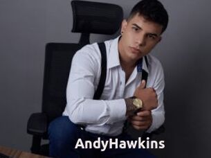 AndyHawkins