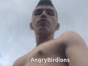 AngryBirdions