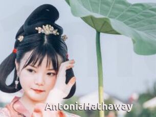 AntoniaHathaway