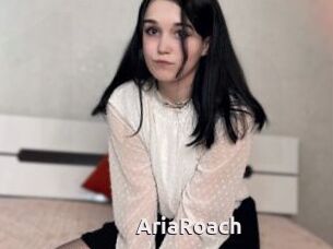AriaRoach