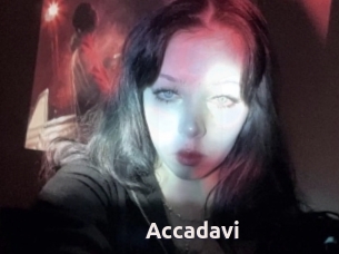 Accadavi