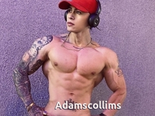 Adamscollims