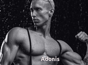 Adonis