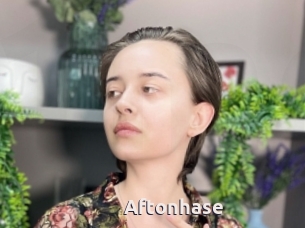 Aftonhase
