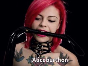 Aliceburthon