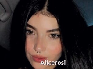 Alicerosi
