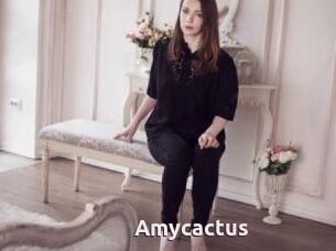Amycactus