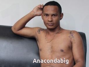 Anacondabig