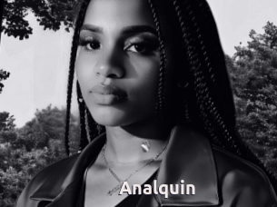 Analquin