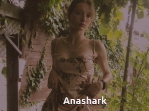 Anashark