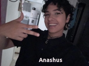 Anashus