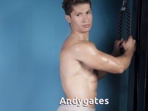 Andygates