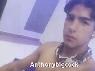 Anthonybigcock