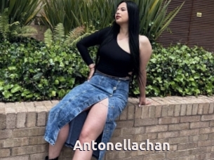 Antonellachan
