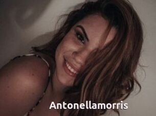 Antonellamorris