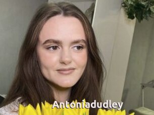 Antoniadudley