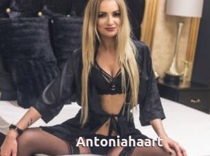Antoniahaart