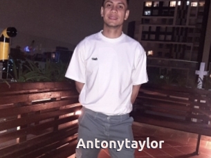 Antonytaylor