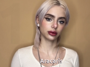 Aracaris