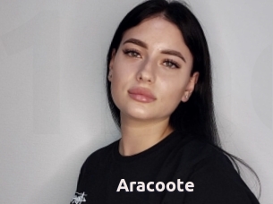 Aracoote