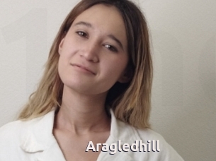 Aragledhill