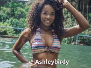 Ashleybirdy
