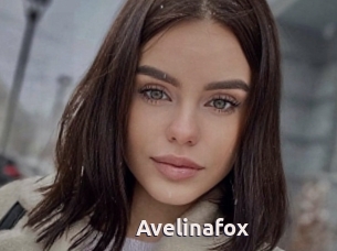 Avelinafox