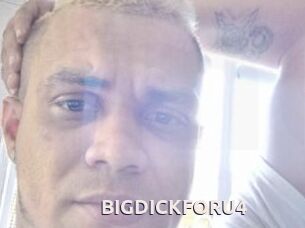 BIGDICKFORU4