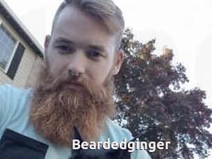 Beardedginger