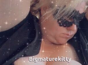 Bigmaturekitty