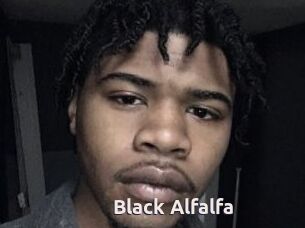 Black_Alfalfa