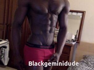 Blackgeminidude