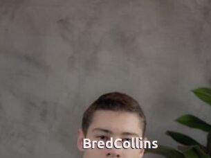 BredCollins