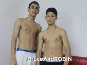 BruceAndROBIN