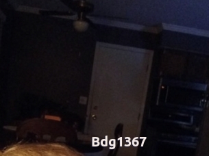 Bdg1367
