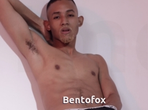 Bentofox