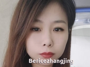 Bericezhangjing