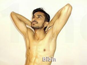 Bibin