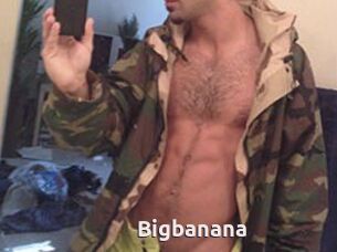 Bigbanana
