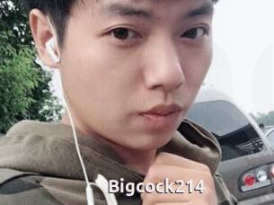 Bigcock214