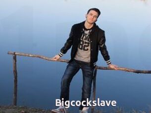 Bigcockslave