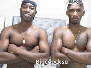 Bigcoocksu